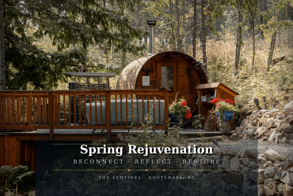 The programs featured image